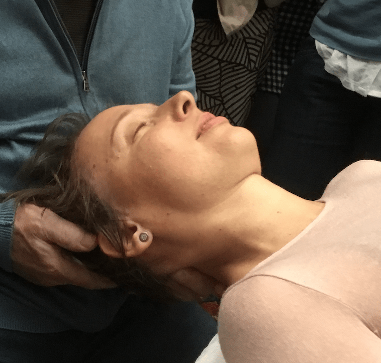 Životní síla: Základy kraniosakrální&nbsp;biodynamiky