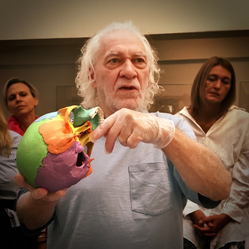 Klíč k inteligenci: Klínová kost neboli&nbsp;„sphenoid“