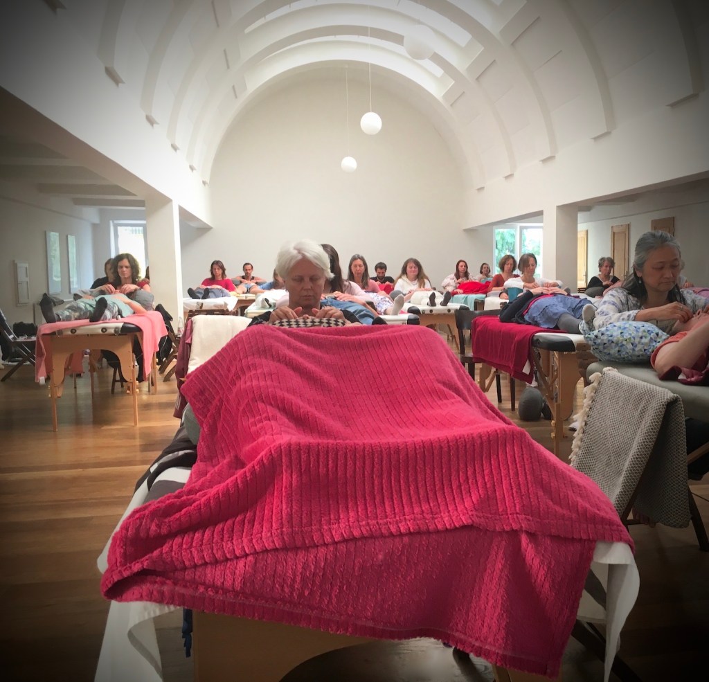 Profesionální výcvik v plnospektrální biodynamice : 9 dílný program radikální&nbsp;transformace